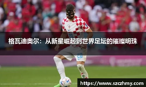 格瓦迪奥尔：从新星崛起到世界足坛的璀璨明珠